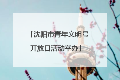 沈阳市青年文明号开放日活动举办
