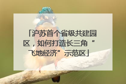 沪苏首个省级共建园区，如何打造长三角“飞地经济”示范区