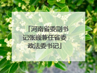 河南省委副书记张巍兼任省委政法委书记
