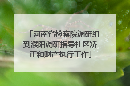 河南省检察院调研组到濮阳调研指导社区矫正和财产执行工作