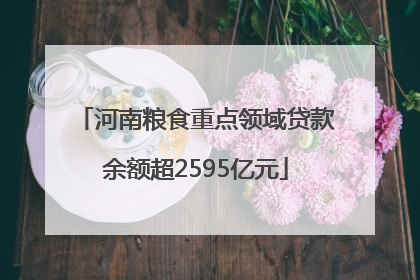 河南粮食重点领域贷款余额超2595亿元