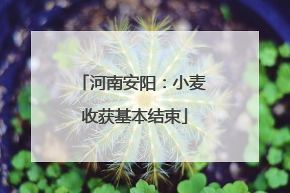 河南安阳：小麦收获基本结束