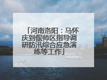 河南洛阳：马怀庆到偃师区指导调研防汛综合应急演练等工作