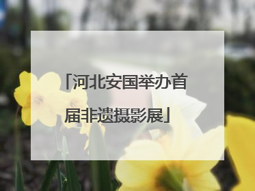 河北安国举办首届非遗摄影展