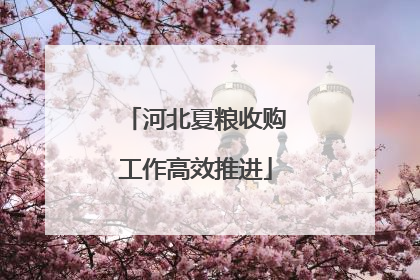 河北夏粮收购工作高效推进