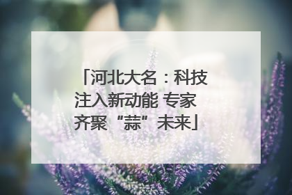 河北大名：科技注入新动能 专家齐聚“蒜”未来