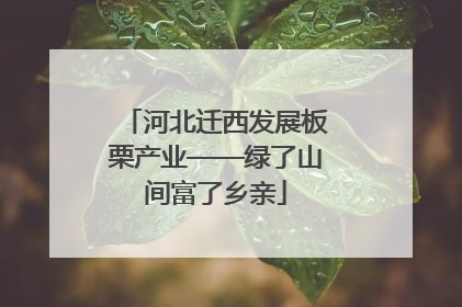 河北迁西发展板栗产业——绿了山间富了乡亲