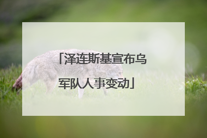 泽连斯基宣布乌军队人事变动