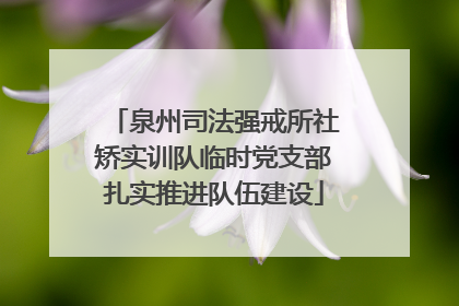 泉州司法强戒所社矫实训队临时党支部扎实推进队伍建设
