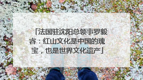法国驻沈阳总领事罗毅睿：红山文化是中国的瑰宝，也是世界文化遗产