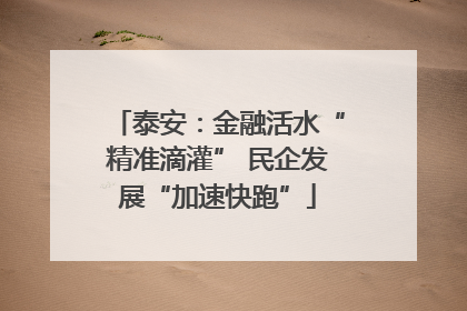 泰安：金融活水“精准滴灌” 民企发展“加速快跑”