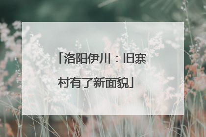 洛阳伊川：旧寨村有了新面貌