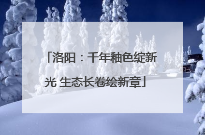 洛阳：千年釉色绽新光 生态长卷绘新章