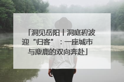 洞见岳阳丨洞庭碧波迎“归客”：一座城市与麋鹿的双向奔赴