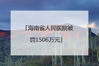 海南省人民医院被罚1506万元