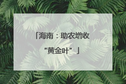 海南：助农增收 “黄金叶”