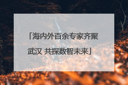 海内外百余专家齐聚武汉 共探数智未来