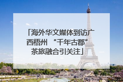 海外华文媒体到访广西梧州 “千年古郡”茶旅融合引关注