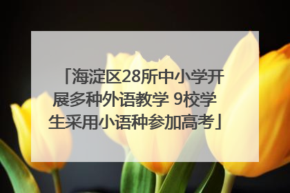海淀区28所中小学开展多种外语教学 9校学生采用小语种参加高考