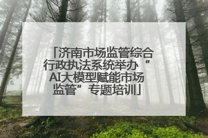 济南市场监管综合行政执法系统举办“AI大模型赋能市场监管”专题培训