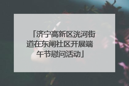 济宁高新区洸河街道在东闸社区开展端午节慰问活动
