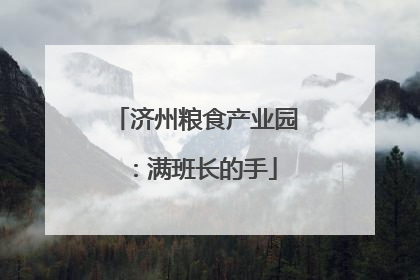 济州粮食产业园：满班长的手
