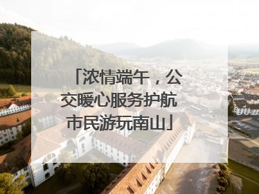 浓情端午，公交暖心服务护航市民游玩南山