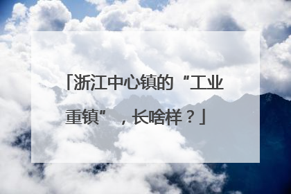 浙江中心镇的“工业重镇”，长啥样？