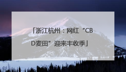 浙江杭州：网红“CBD麦田”迎来丰收季