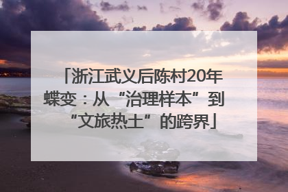 浙江武义后陈村20年蝶变：从“治理样本”到“文旅热土”的跨界