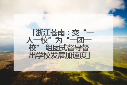 浙江苍南：变“一人一校”为“一团一校” 组团式督导督出学校发展加速度