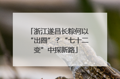 浙江遂昌长粽何以“出圈”？“七十二变”中探新路