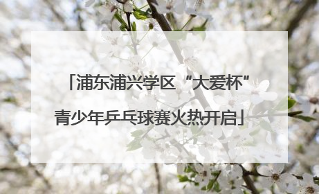 浦东浦兴学区“大爱杯”青少年乒乓球赛火热开启