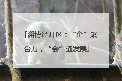 淄博经开区：“企”聚合力，“会”通发展