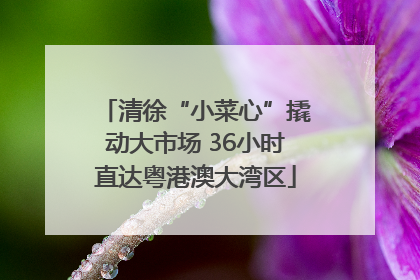 清徐“小菜心”撬动大市场 36小时直达粤港澳大湾区