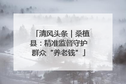 清风头条｜桑植县：精准监督守护群众“养老钱”