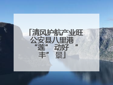 清风护航产业旺 公安县八里港 “莲” 动好 “丰” 景