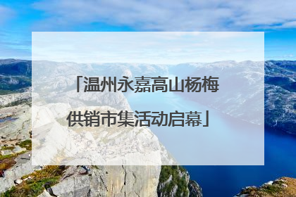 温州永嘉高山杨梅供销市集活动启幕
