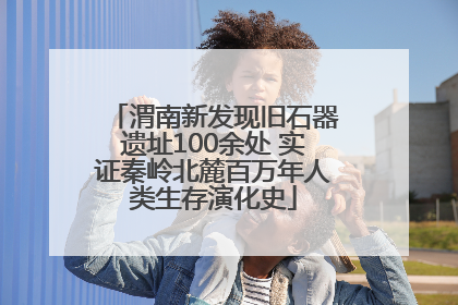 渭南新发现旧石器遗址100余处 实证秦岭北麓百万年人类生存演化史