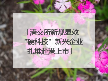 港交所新规显效 “硬科技”新兴企业扎堆赴港上市