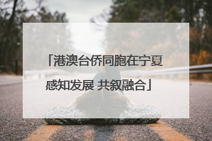 港澳台侨同胞在宁夏感知发展 共叙融合