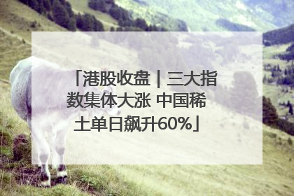 港股收盘｜三大指数集体大涨 中国稀土单日飙升60%