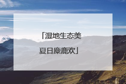 湿地生态美 夏日麋鹿欢