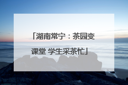 湖南常宁：茶园变课堂 学生采茶忙