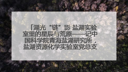 湖光“链”影 盐湖实验室里的星辰与荒原——记中国科学院青海盐湖研究所，盐湖资源化学实验室党总支书记、副主任刘忠