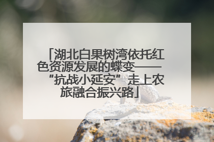 湖北白果树湾依托红色资源发展的蝶变——“抗战小延安”走上农旅融合振兴路