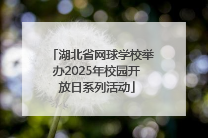 湖北省网球学校举办2025年校园开放日系列活动
