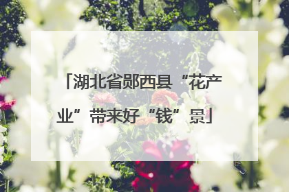 湖北省郧西县“花产业”带来好“钱”景