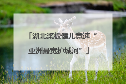 湖北桨板健儿竞速“亚洲最宽护城河”