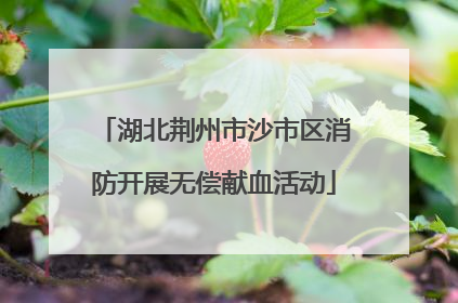 湖北荆州市沙市区消防开展无偿献血活动